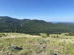 20 acres 4 sale Republic WA