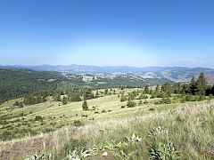 20 acres 4 sales Republic WA