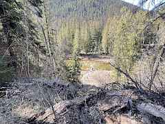 East view of Sullivan Creek