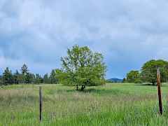 fogle-colville-wa-8acres (2)