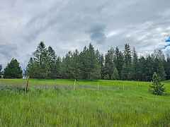 fogle-colville-wa-8acres (3)