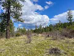 2-IMG_8278 2-IMG_8278