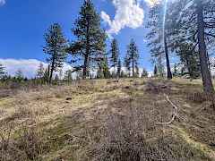 4-IMG_8280 4-IMG_8280
