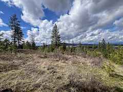 5-IMG_8281 5-IMG_8281