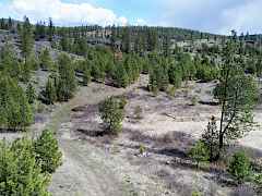 1-DJI_0967 1-DJI_0967