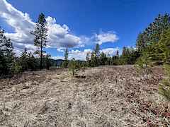 2-IMG_8324 2-IMG_8324