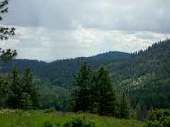 100_0246 100_0246