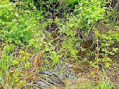 Culvert for Creek Culvert for Creek