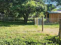 Fenced yard and new shed