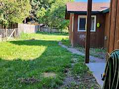 Back yard