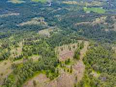 04-night hawk lane-94 acres-newport