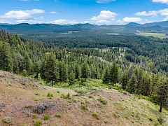 05-night hawk lane-94 acres-newport