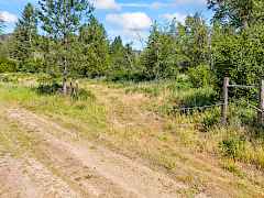 13-nancy creek rd-35 acres