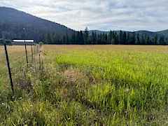 Property is fenced