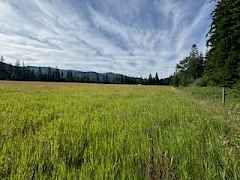 Grass will be baled soon,