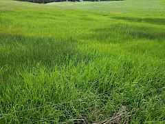 Old Ranch - Lot 2b Old Ranch - Lot 2b