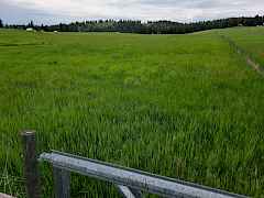 Old Ranch - Lot 2d Old Ranch - Lot 2d