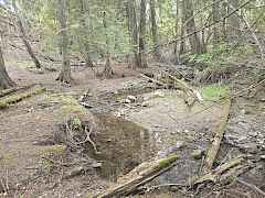Stranger Creek Stranger Creek