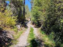 202524689-20b40ee1-d309-4b91-bff1-39a5d4