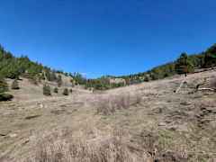 20251031201635567492000000