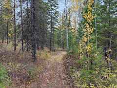 05-2094 bb-p clugston onion creek rd