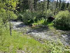 You can hear this creek sing !