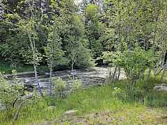 Busy, bold & beautiful