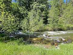 Great fishing pools and eddies