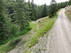 Access Road to east 20