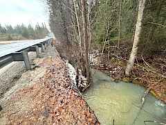 Dragoon Creek