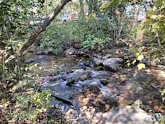 Creek