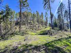 10-IMG_8829