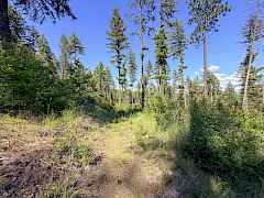 4-IMG_4916
