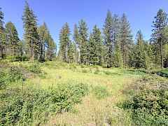 6-IMG_4894