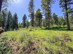 3-IMG_4890