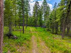 045_bb193655-45_16