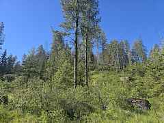 20260521_080858(1)