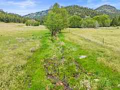 Pasture