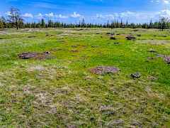 202617092-a394b75b-10d5-49f2-8679-53f8e8