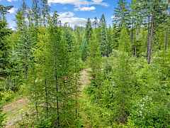 15-bussard lake rd-parcel