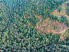 Parcel C Aerial