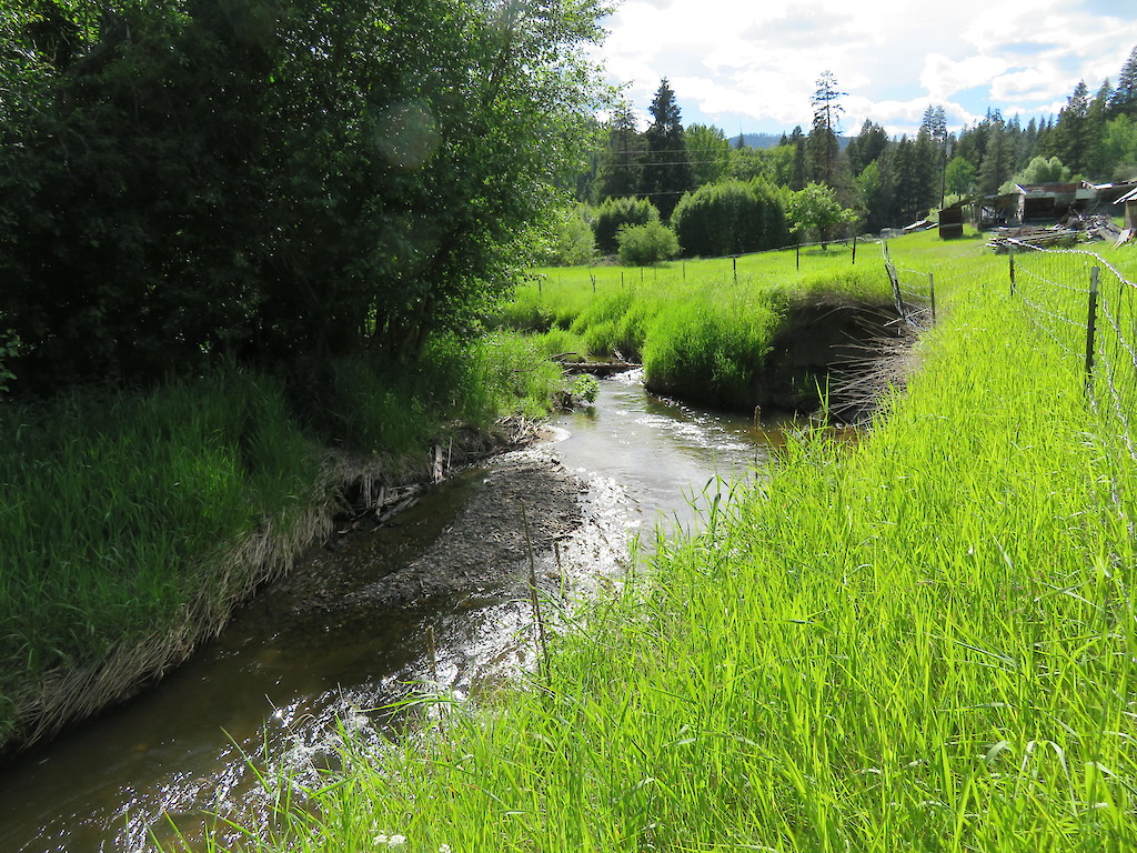 839 Trout Creek Rd, Republic, WA 99166 Washington Views Real Estate