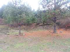bird sanctuary bird sanctuary